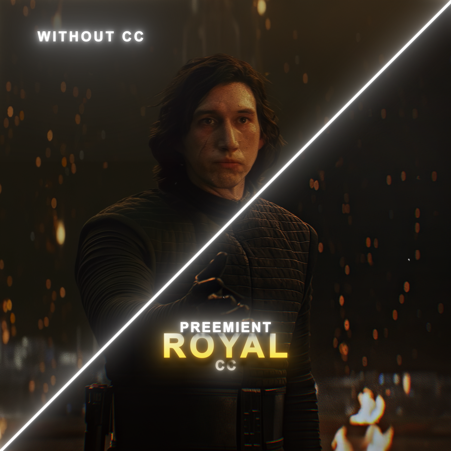 Preeminent Presets CC Quality Bundle - Payhip