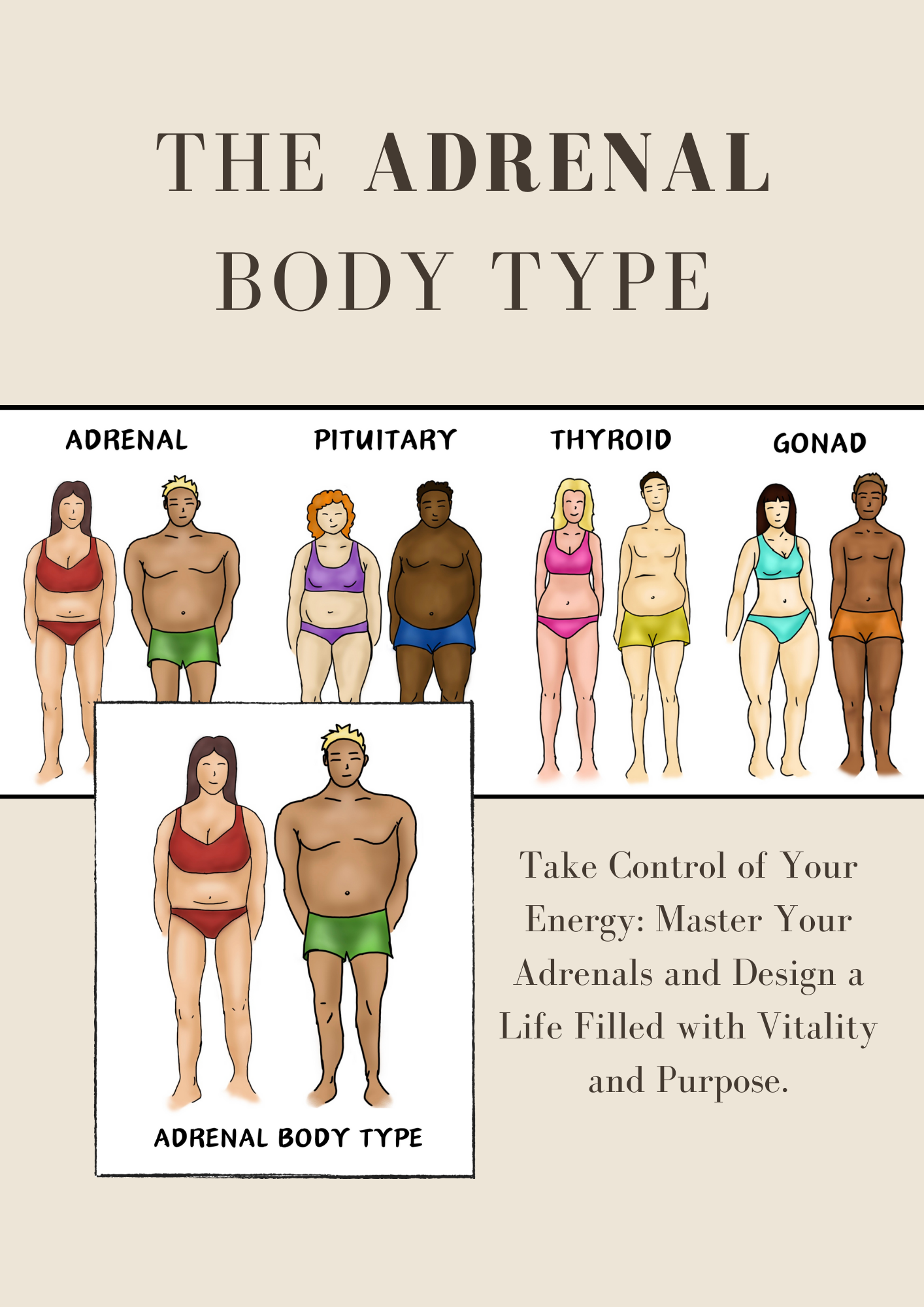 This is the pituitary body type and this guide will dive you deeper to causes of why this is happening and a step by step guide to heal your body type.