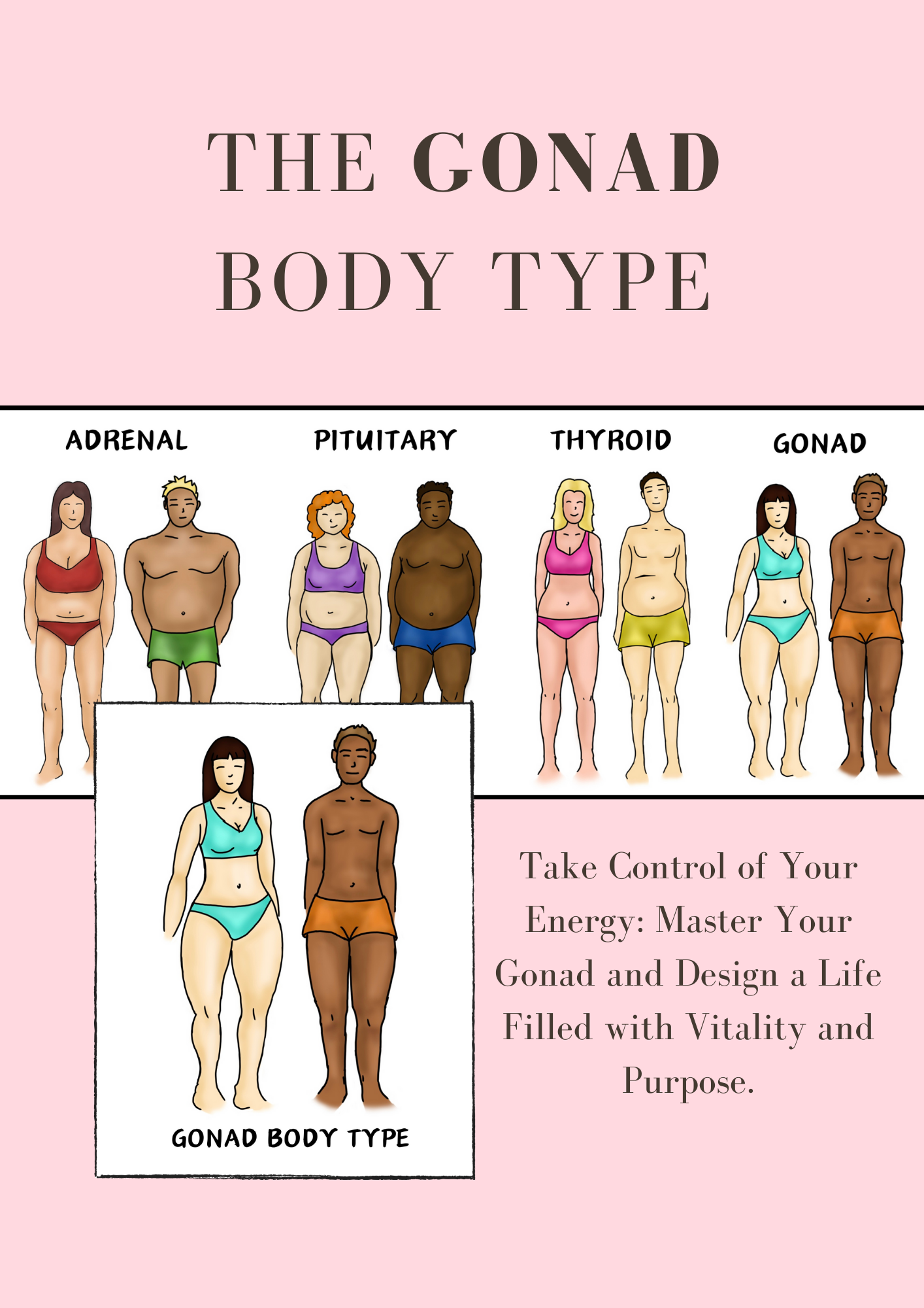The gonad body type. Adrenal body type. Pituitary body type. Thyroid body type. Gonad body type. Weight gain, weight loss. Ebook. Lifestyle, life change, life tips.