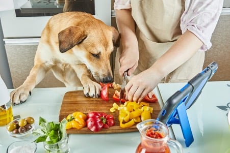 A dog and ghis owner preparing a healthy dinner