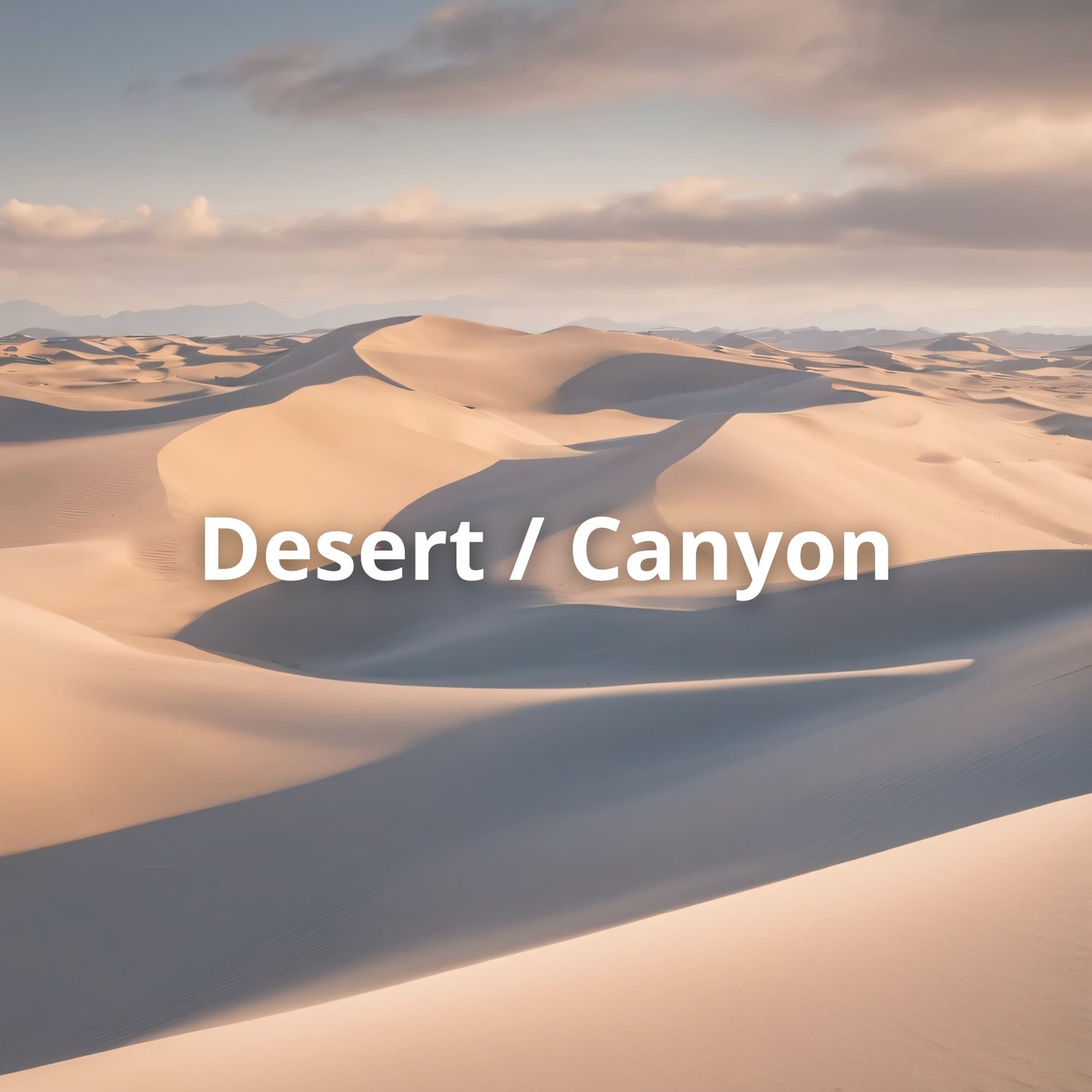 Desert Wall Art