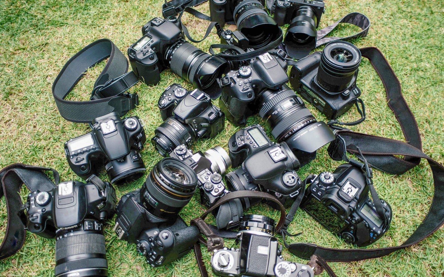 A bunch of cameras strewn across a grassy patch of ground.