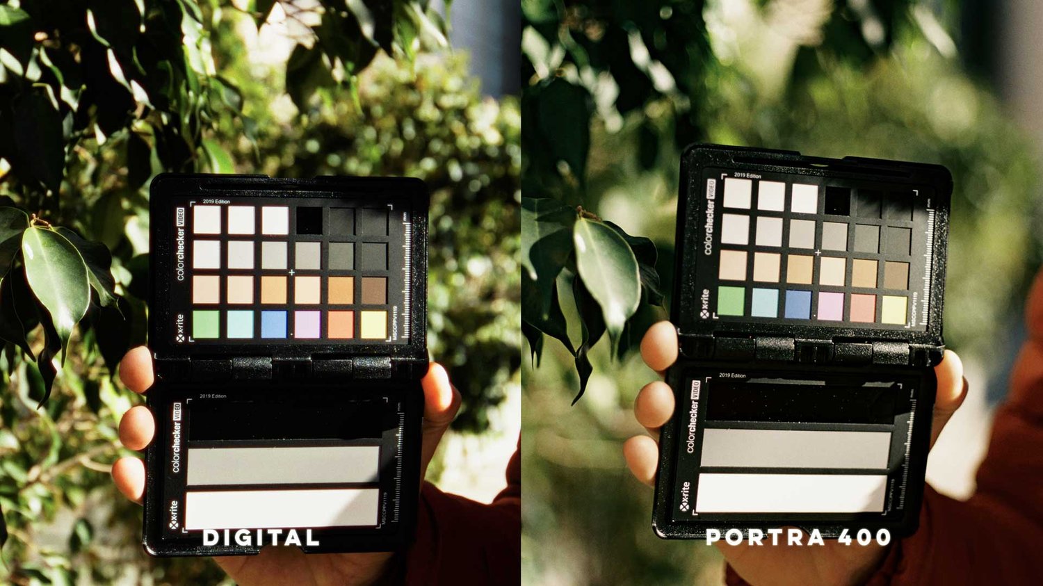 Kodak Portra 400 color chart test