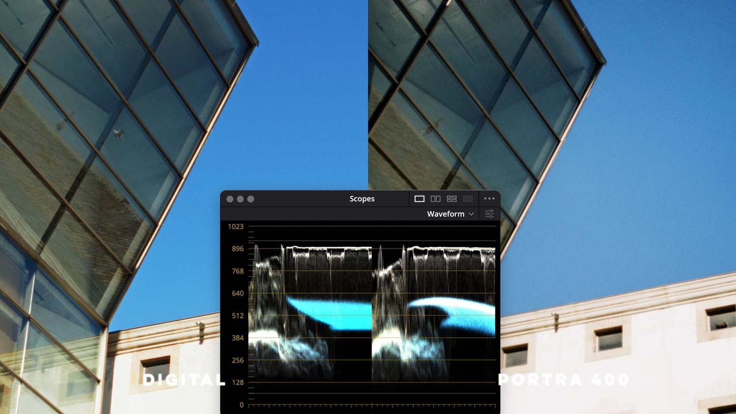 Waveform comparison between digital video and Kodak Portra 400 film.