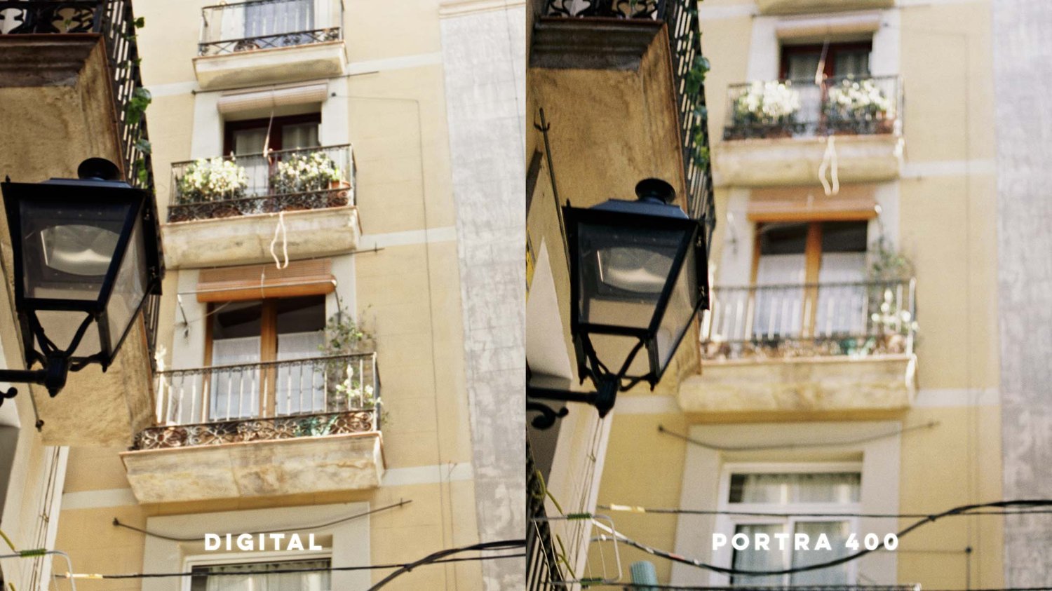 Color comparison of Kodak film and digital video.