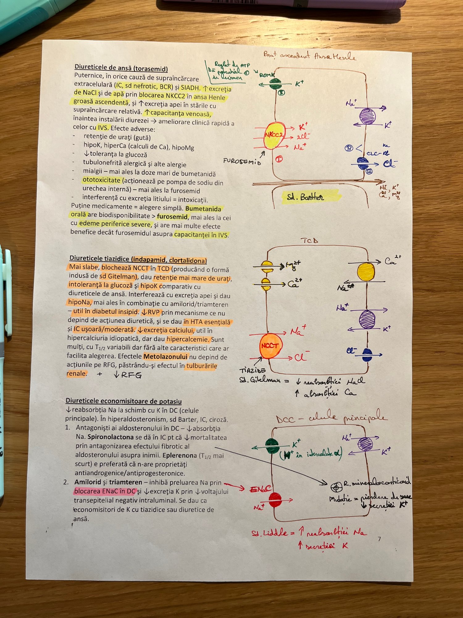 Rezumate rezi 2024 Bucuresti grile
