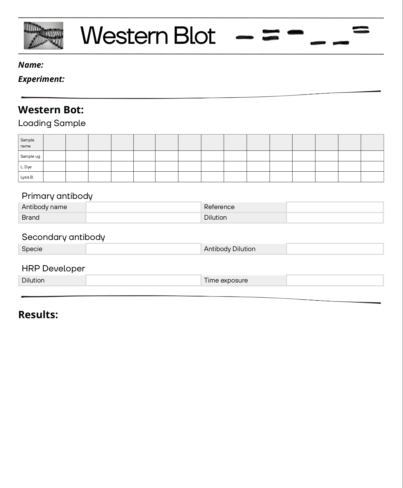 free western blot template