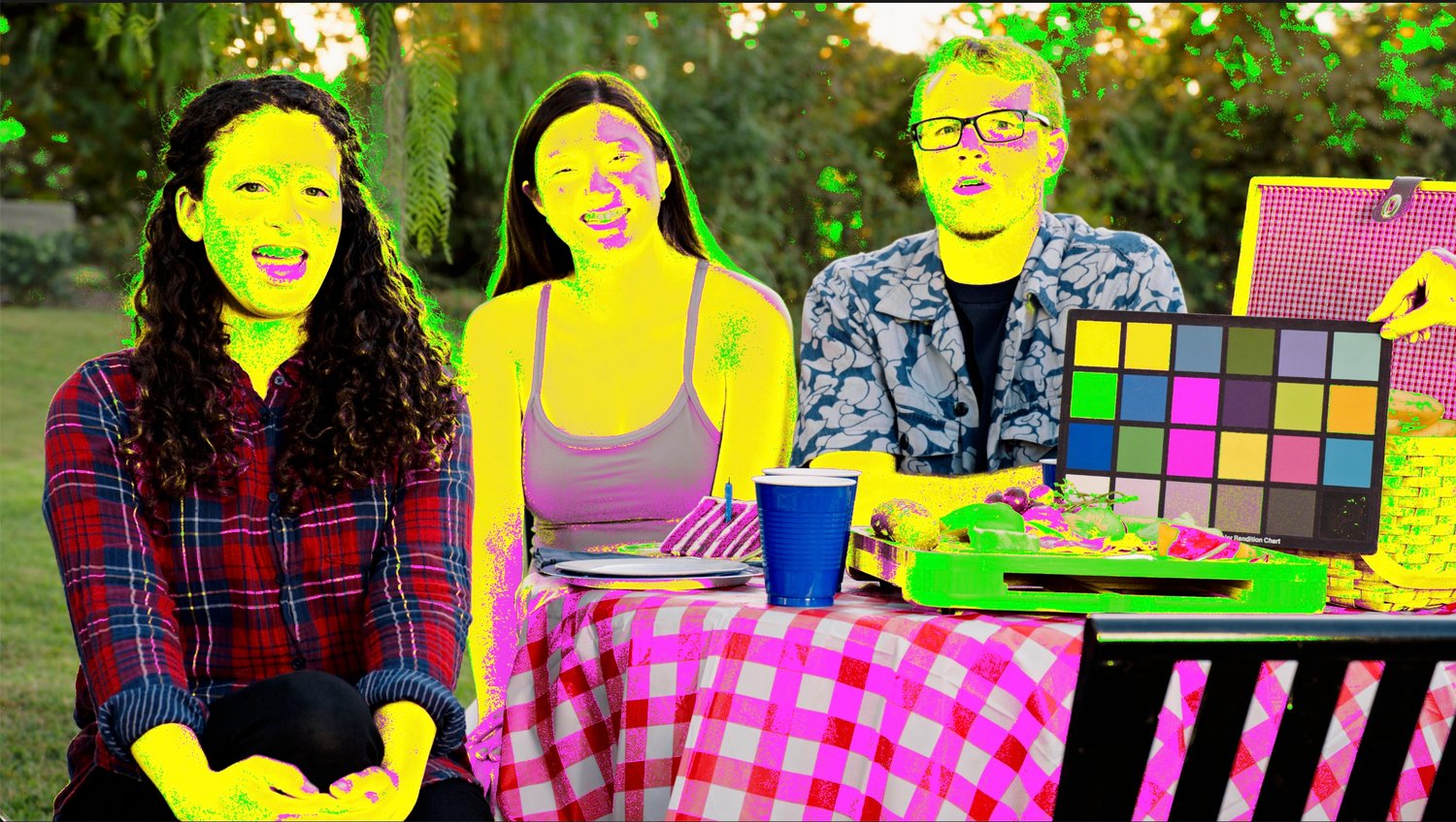 Skin tone checker for davinci resolve.