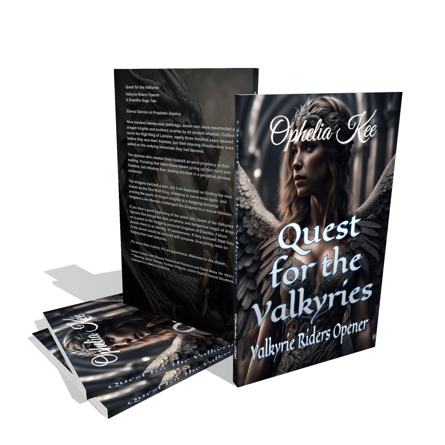 Quest for the Valkyries Book Stack