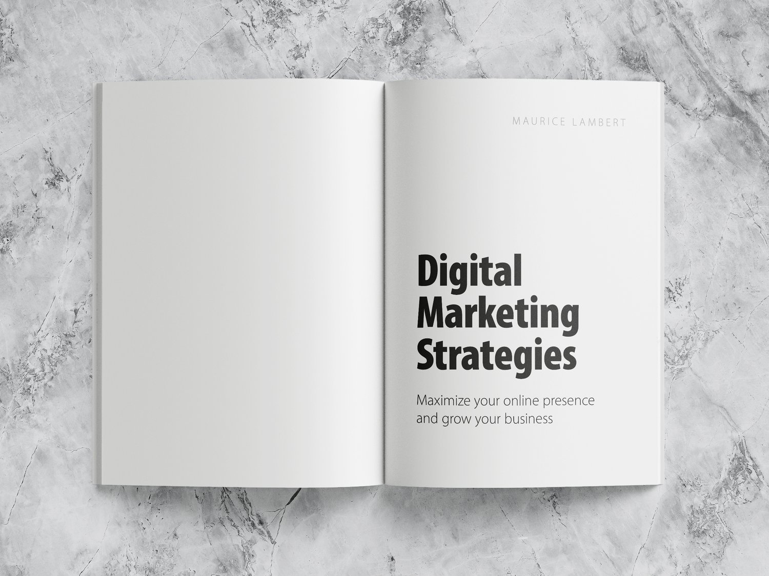 Book mockup: The spread shows the book title with author and subheading on the right page