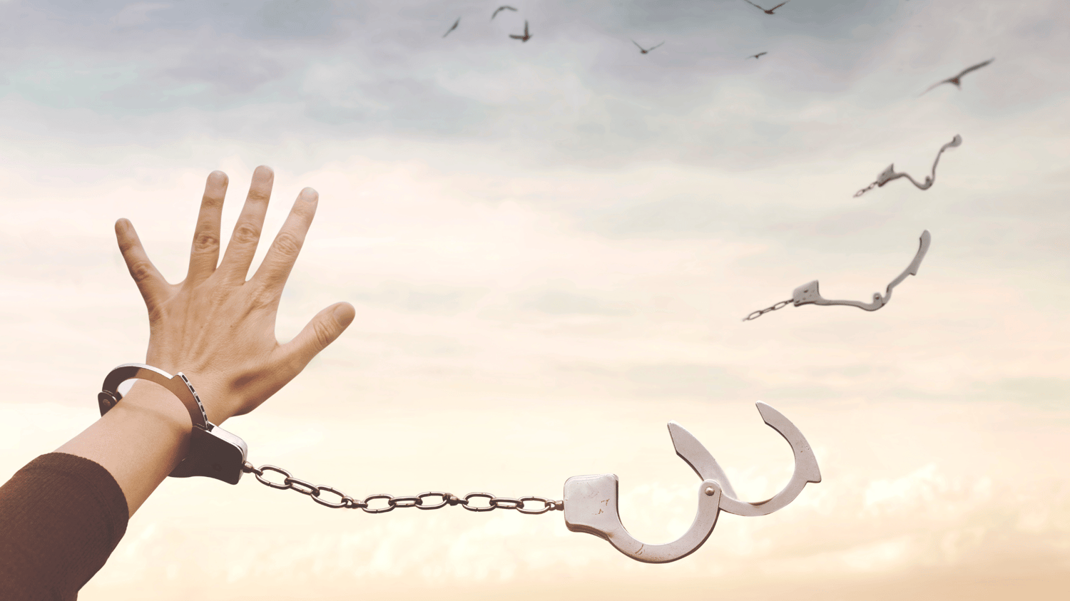 freedom, liberation