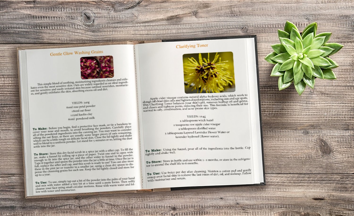 Homemade Beauty Products