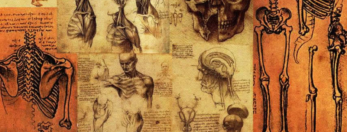 Anatomy human printables