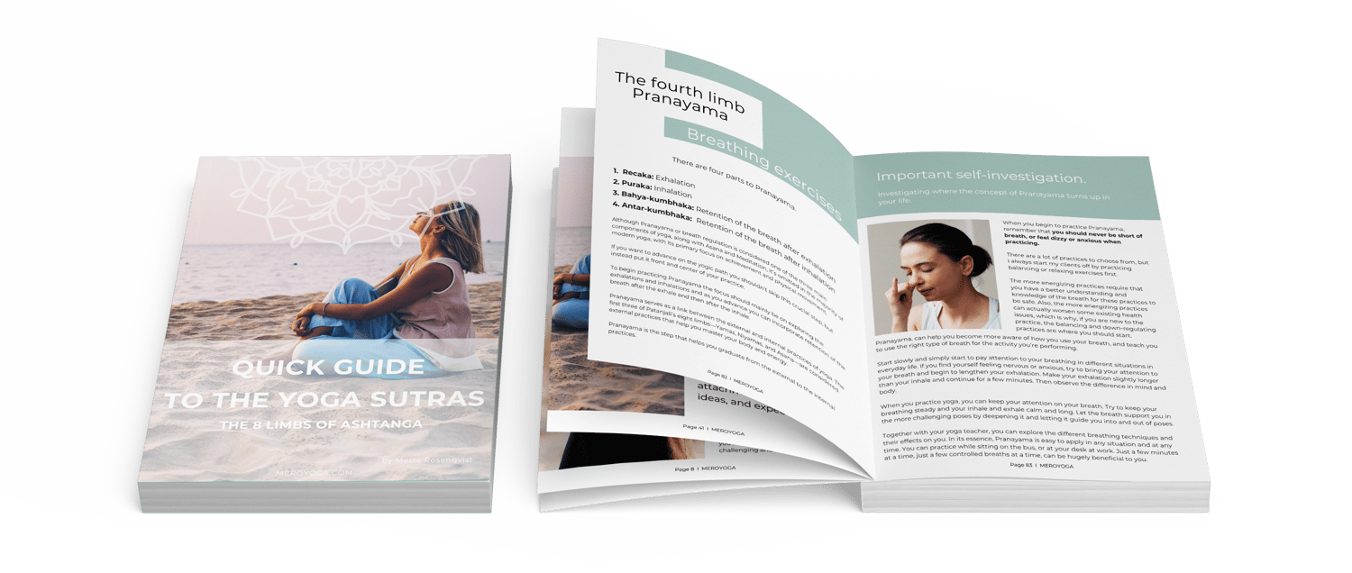 open book quick guide to the yoga sutras