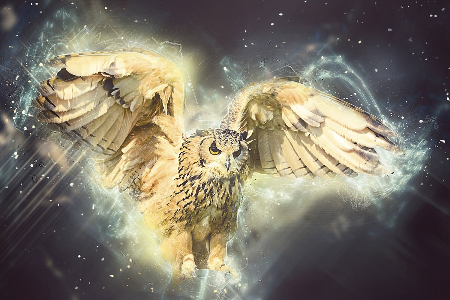 Supernatural owl