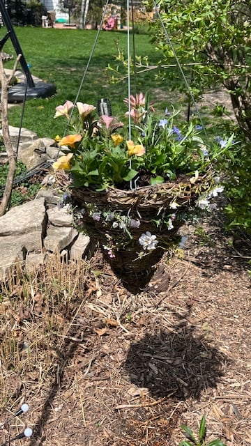 hanging planters