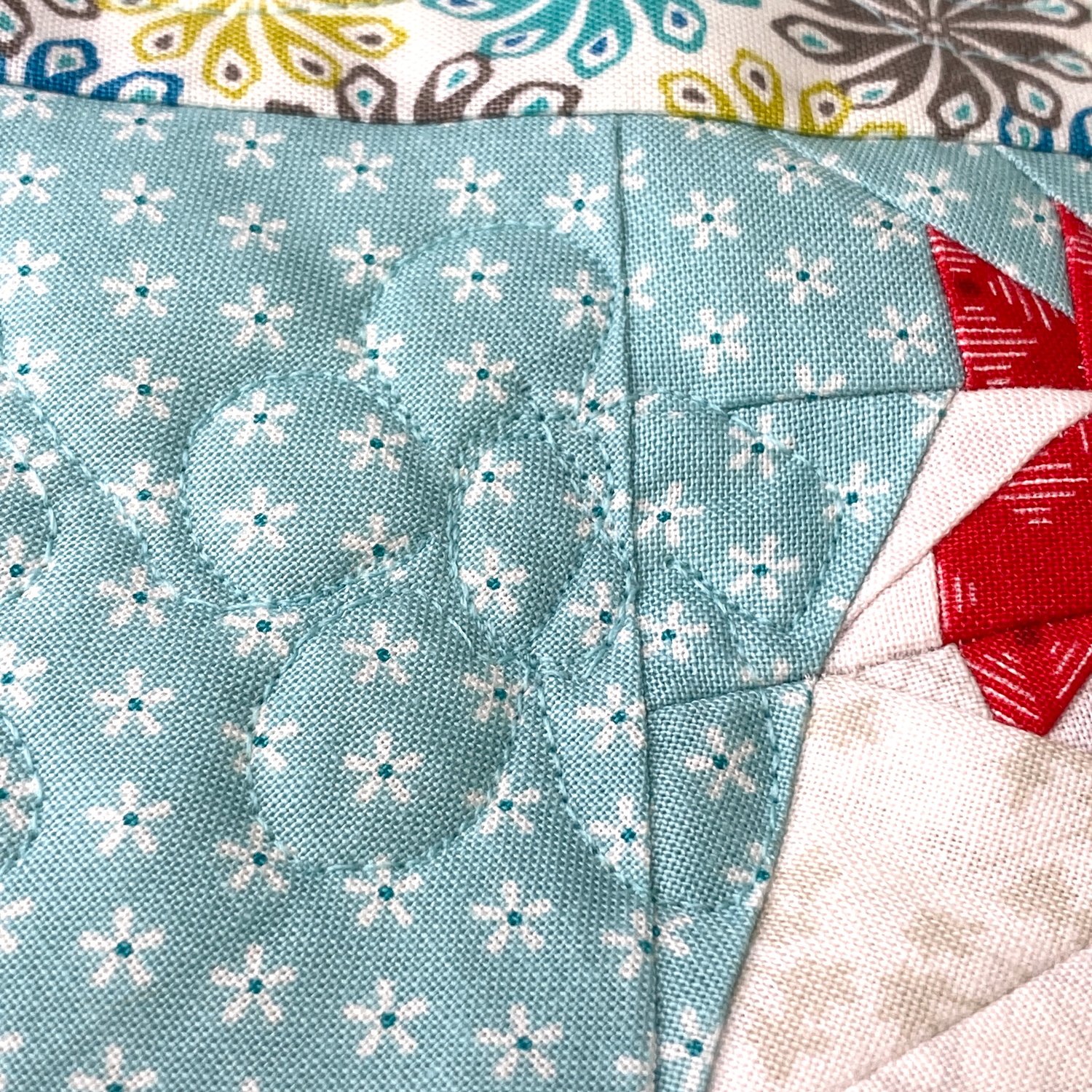 Start small with free motion quilting and practice will improve your skills.