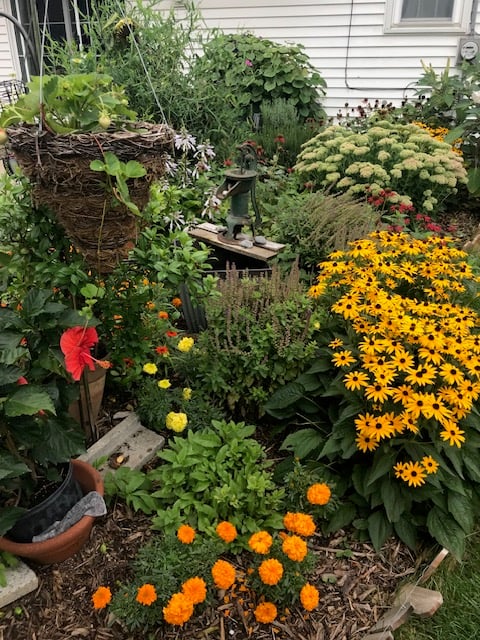 gardens, plants, flowers, Endometriosis