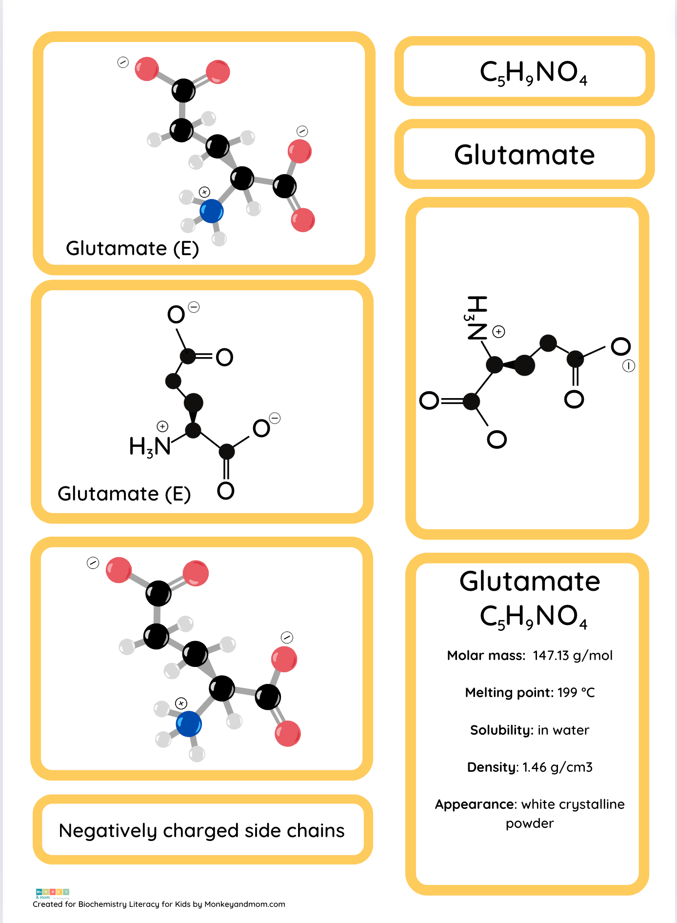 Glutamate Amino Acid Cards Sample