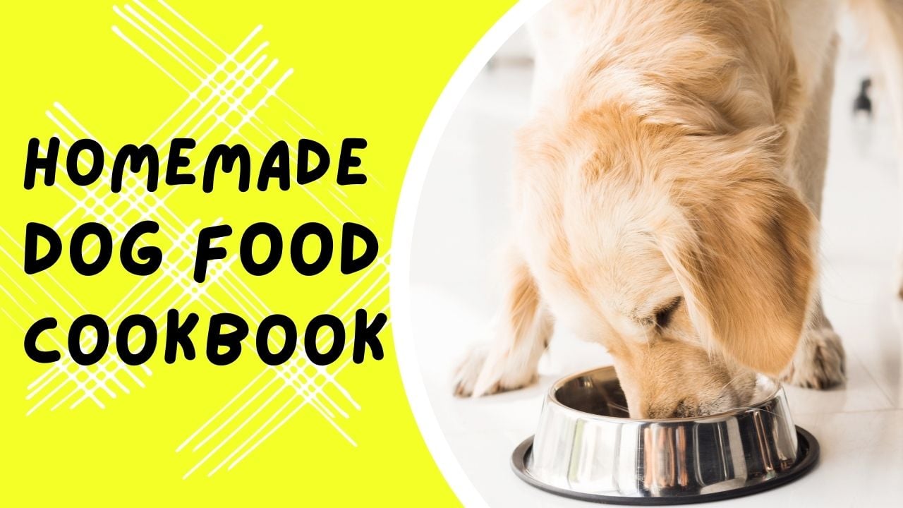 homemade dog food cookbook