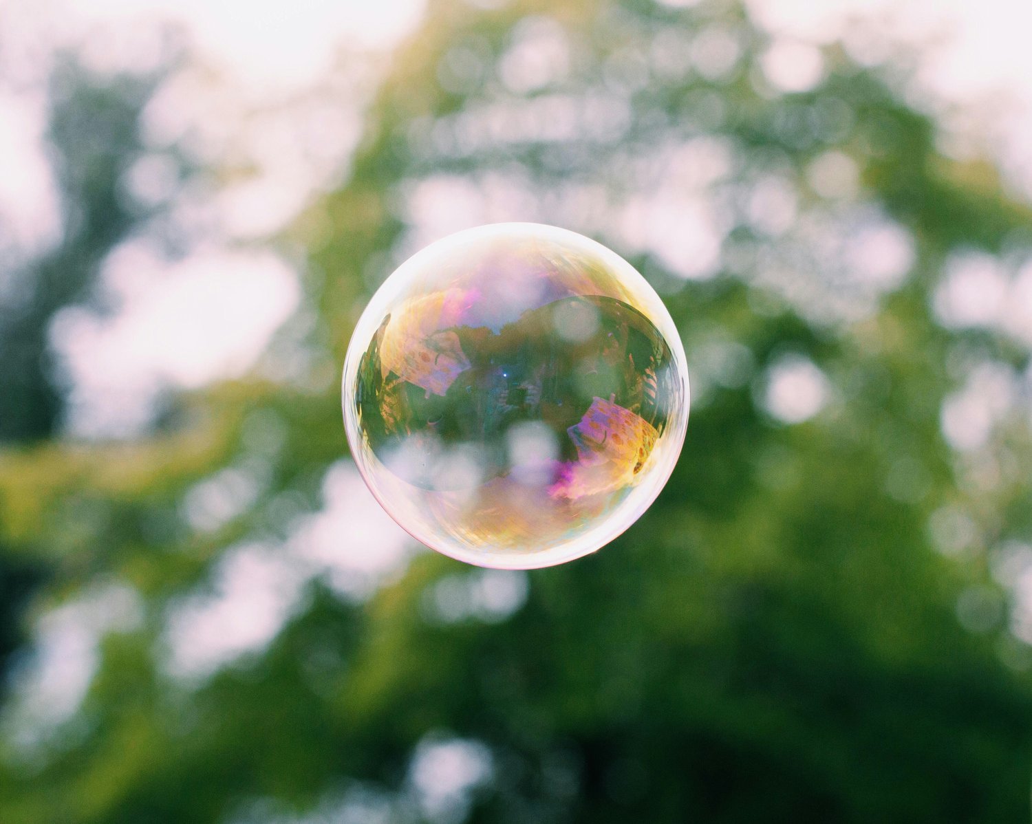 Bubble Floating in front of a blurry background of trees
