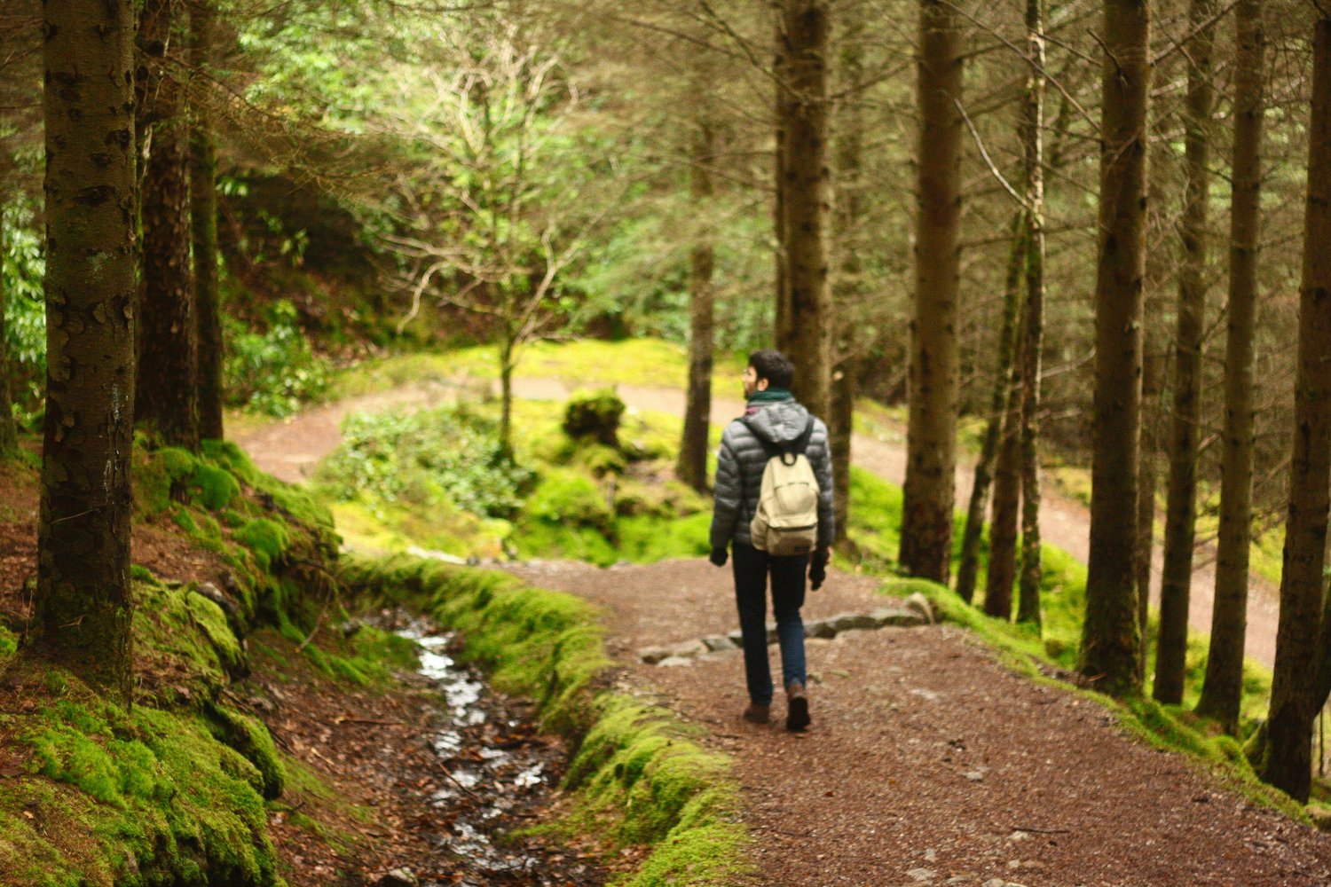 Person walking away from photographer on a path in t the woods