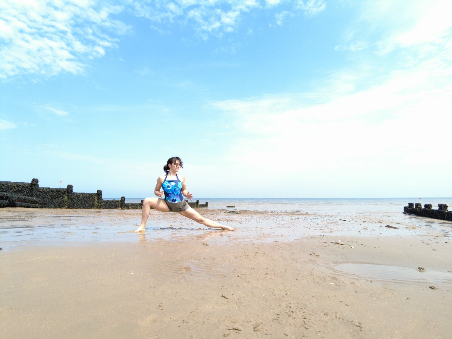 Calisthenics for Beginners