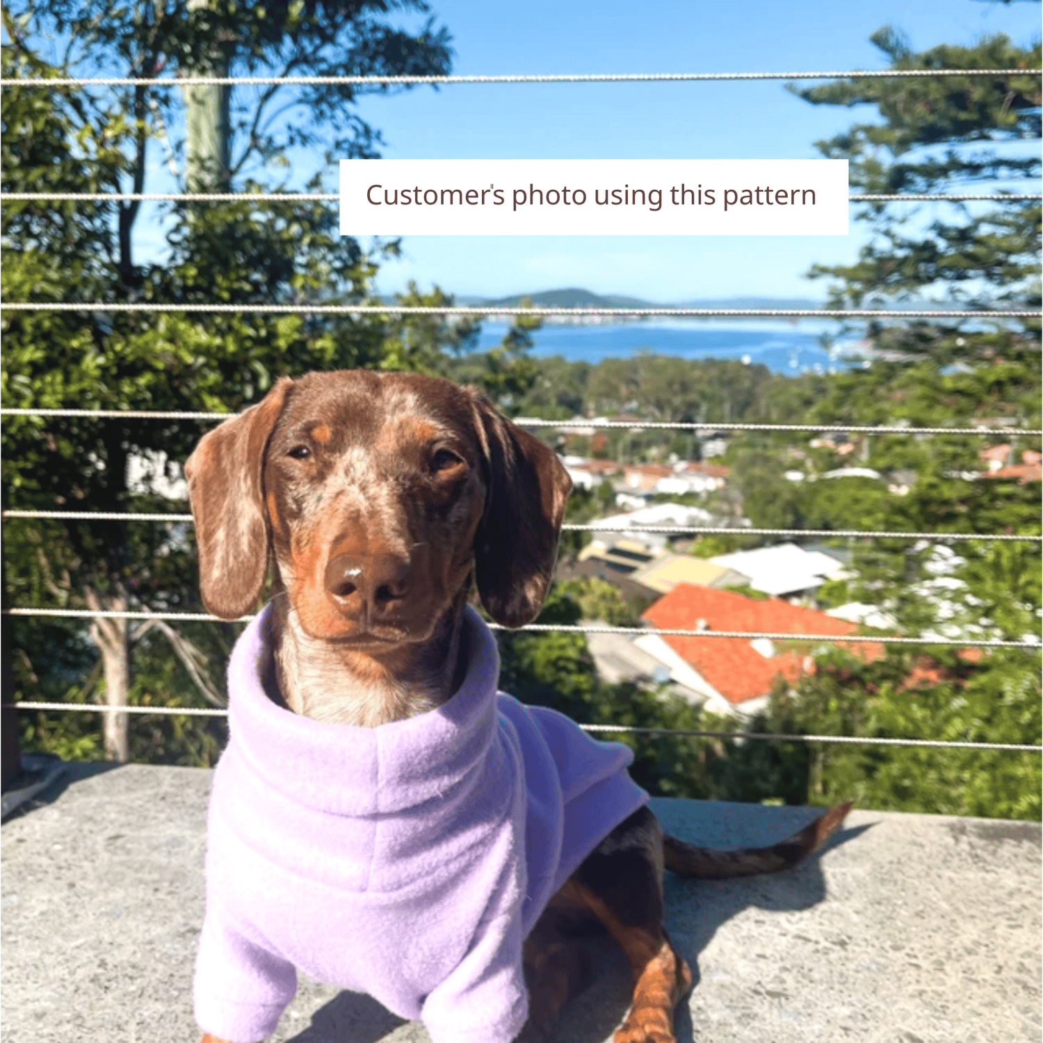 Dog Hoodie Pattern Dog Coat Pattern Dog Turtleneck Sewing Pattern