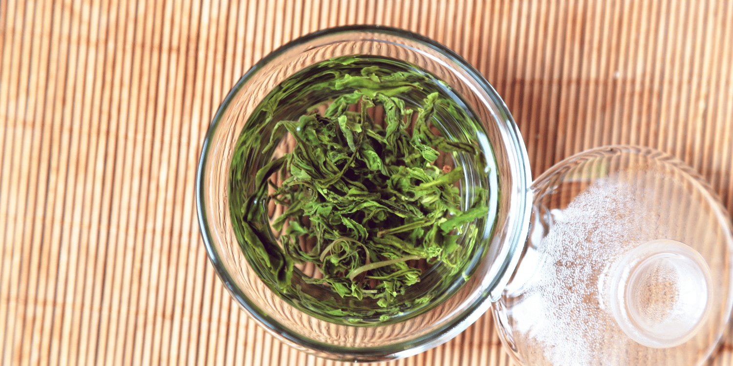 Unveiling the Secret: Who Stays Younger - Regular Tea Drinkers or Coffee Enthusiasts? Find the Answer on Our Blog!