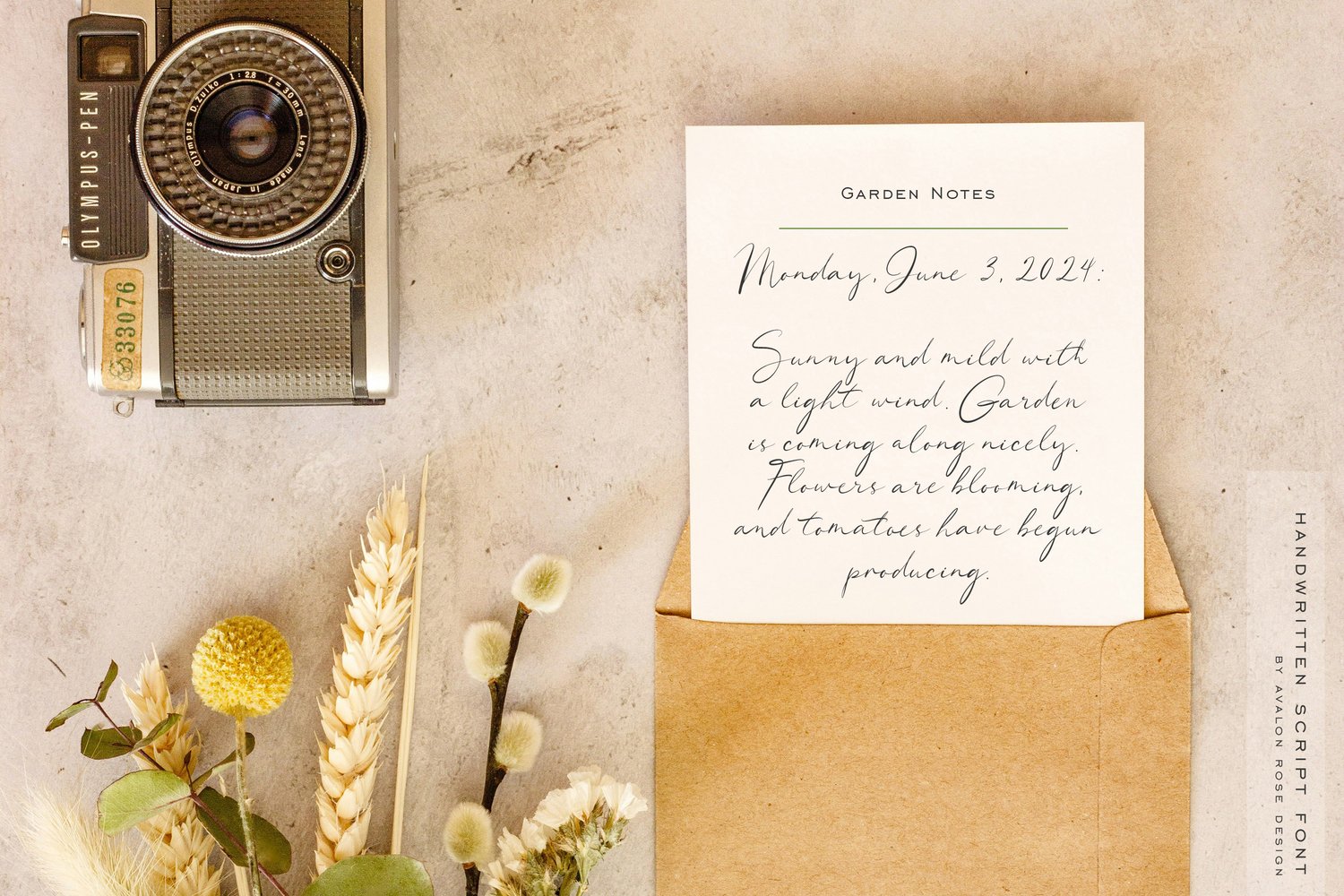 a lovely hand-written script font