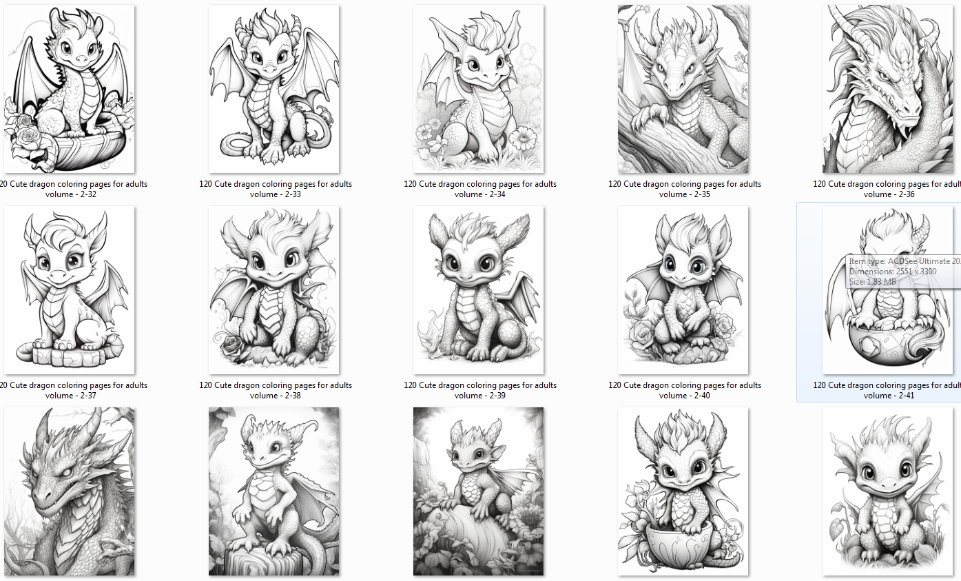 Cute Dragon Coloring Pages for Adults