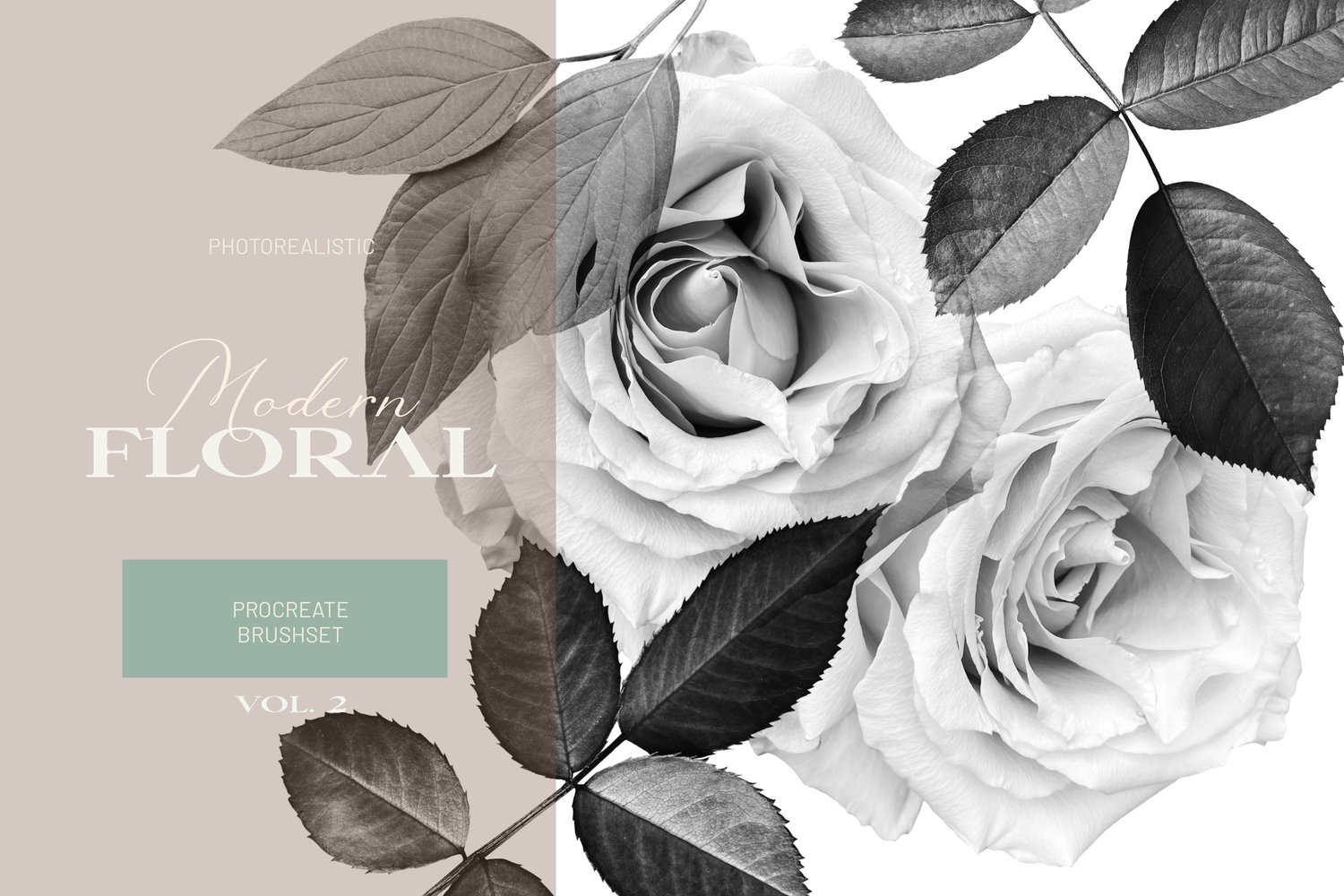 Procreate stamp brushes will allow you to add a realistic and beautiful botanical element to your designs