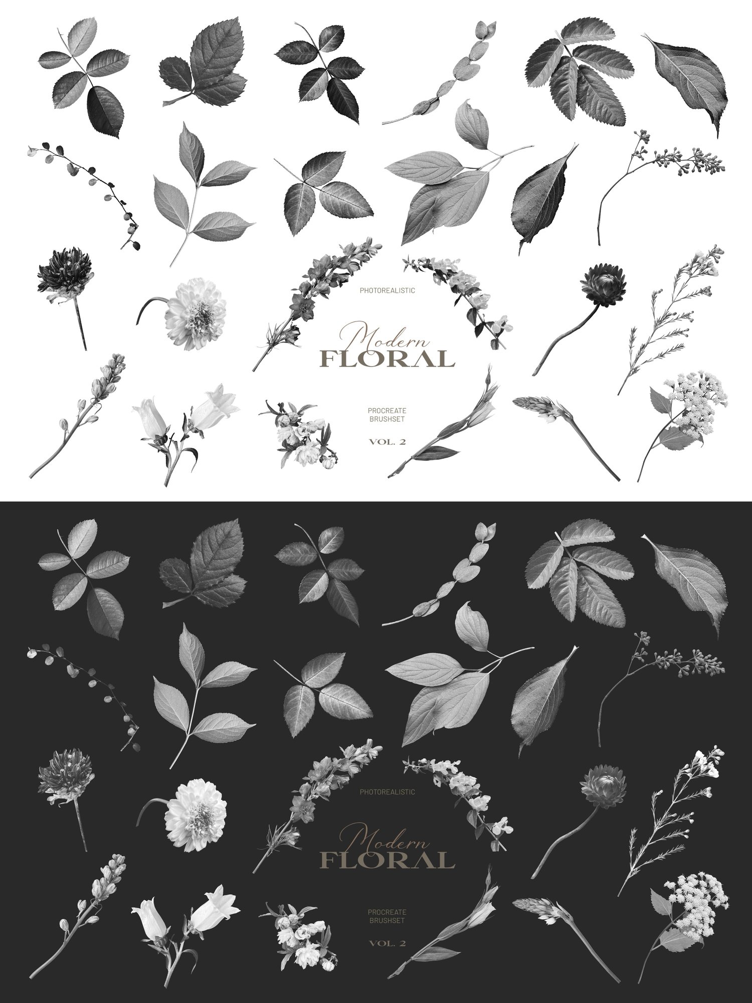 Procreate stamp brushes will allow you to add a realistic and beautiful botanical element to your designs