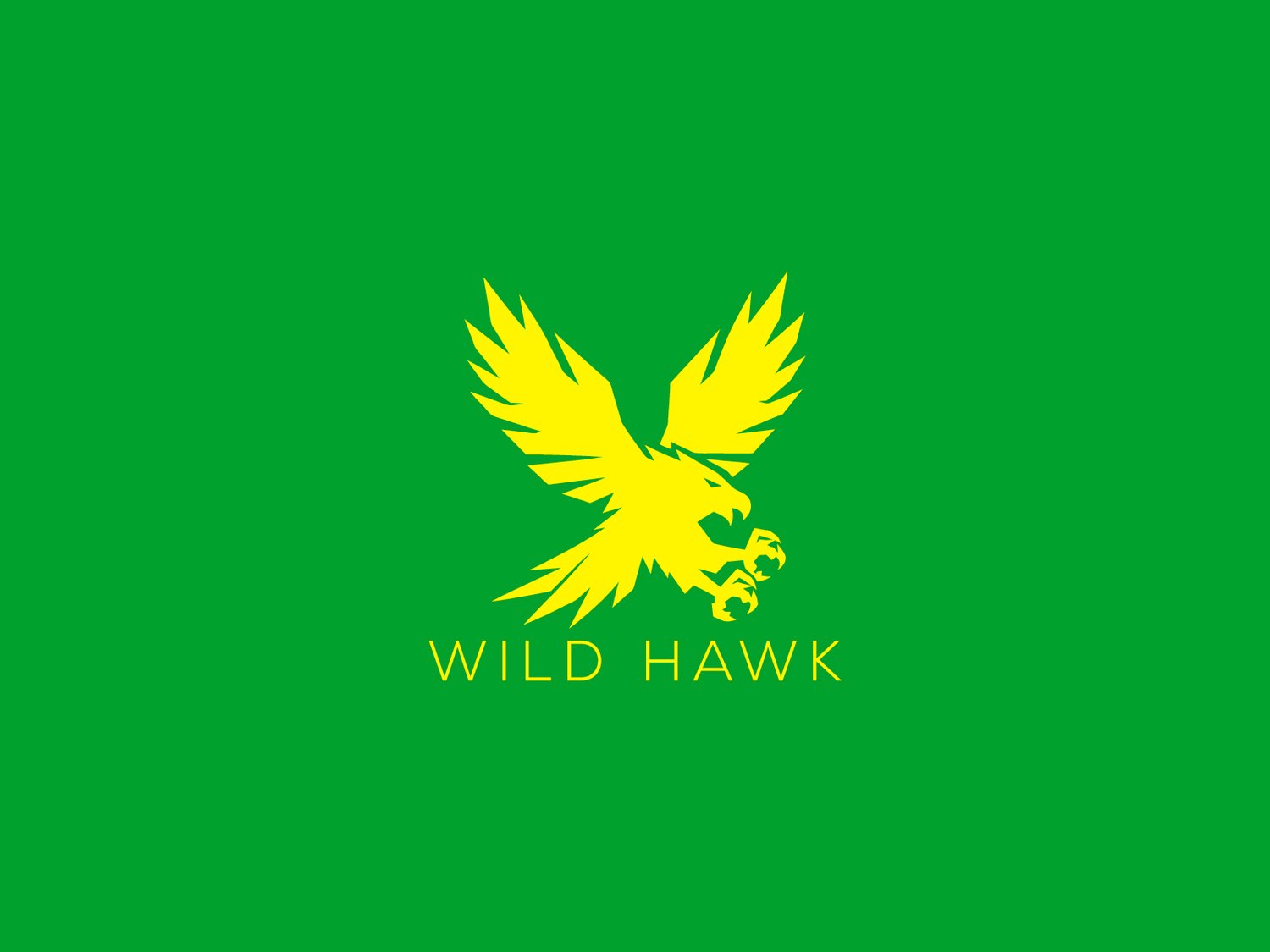 Handcrafted professional Hawk logo design, featuring a powerful hawk illustration symbolizing focus, freedom, and strength, created by expert designers for branding and business use.