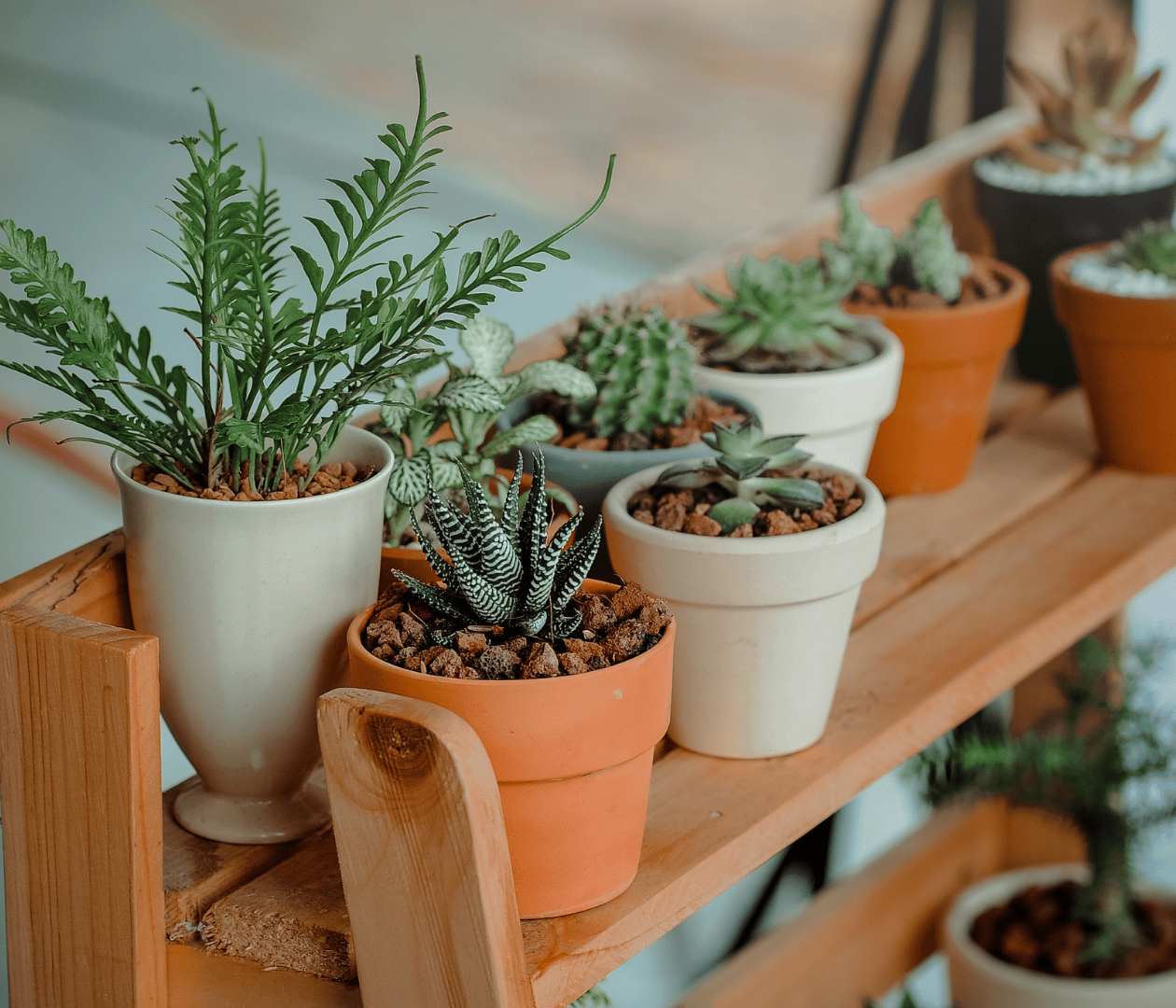 Enhance Your Space, Enhance Your Life: How Beautifying Your Surroundings Boosts Well-Being