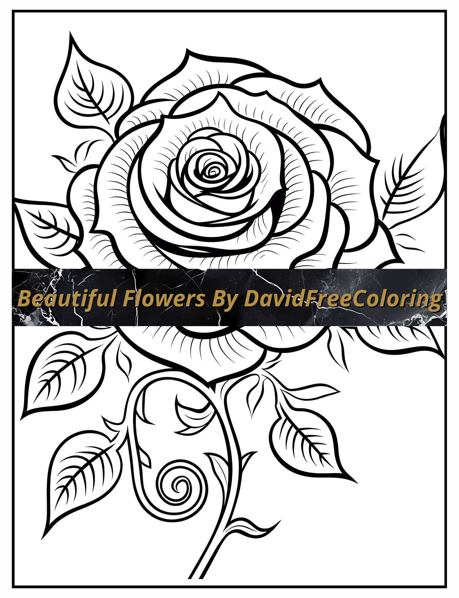 80 Beautiful Flowers Coloring Book Flowers Images for Adult Coloring Pages Flowers printable coloring book gift for adult PDF Download PNG