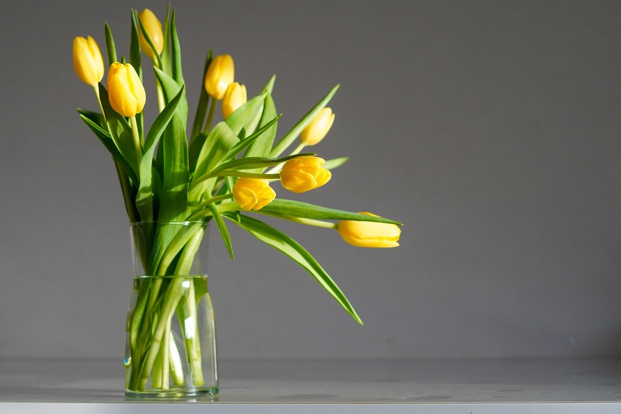Flores y existencialismo-fografía tulipanes amarillos, flores y pétalos