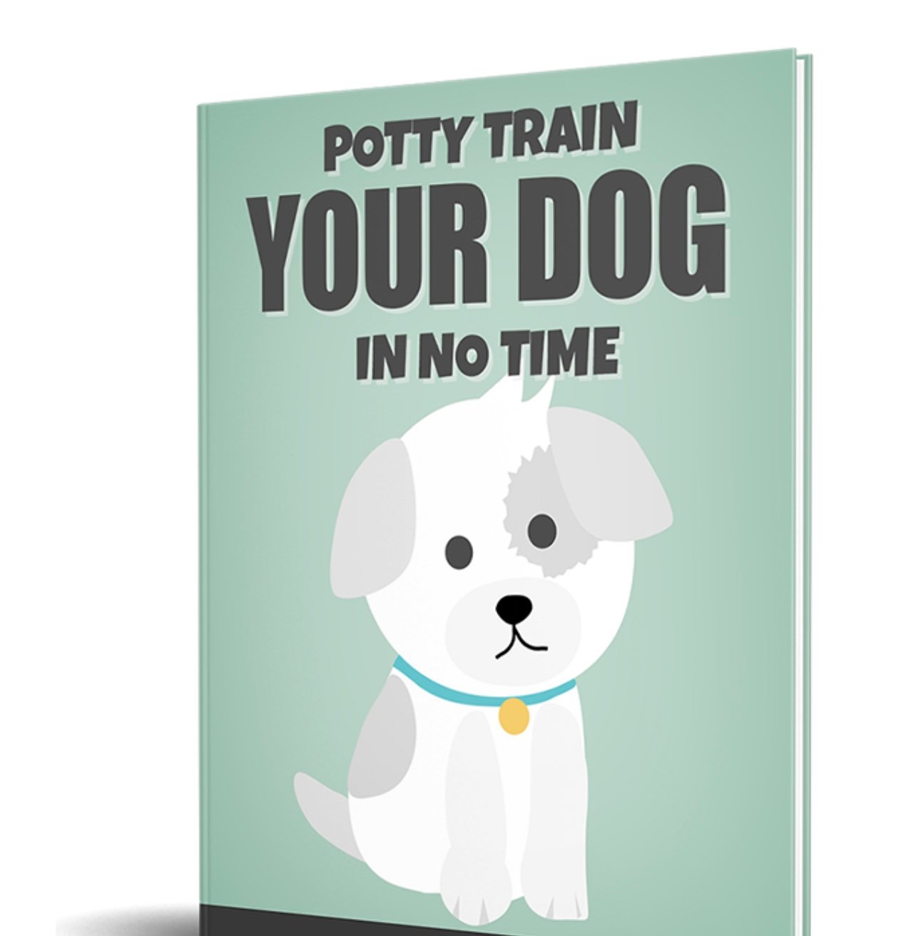 Potty Train your dog in no time