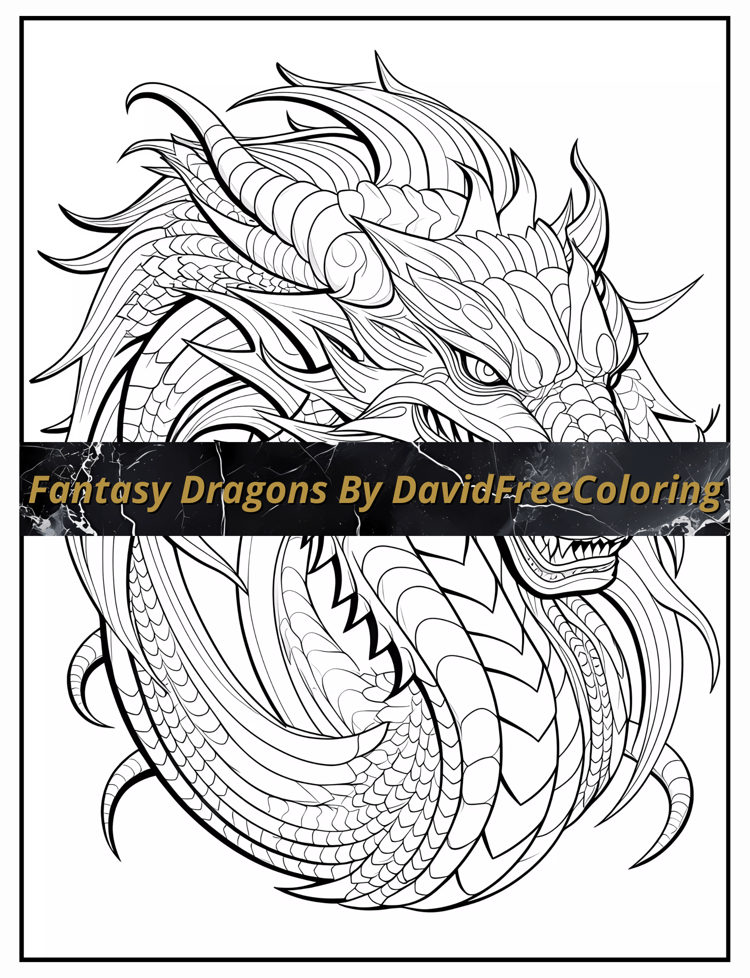 50 Fantasy Dragons Coloring Book Dragons Images for Adult Coloring Pages Dragons printable coloring book gift for adult PDF Download PNG