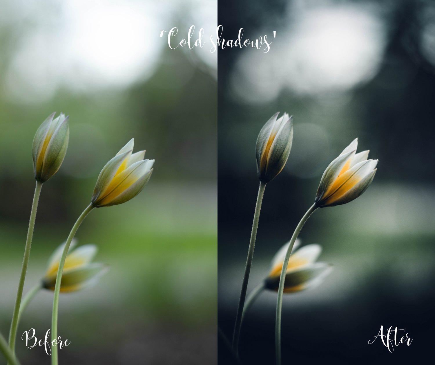 before and after of the preset Cold shadows
