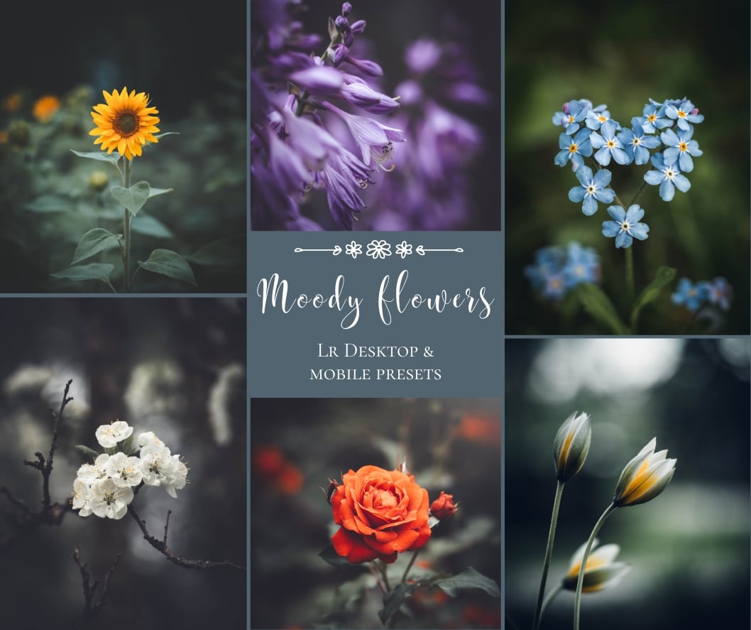 moody flowers lightroom preset pack cover photo