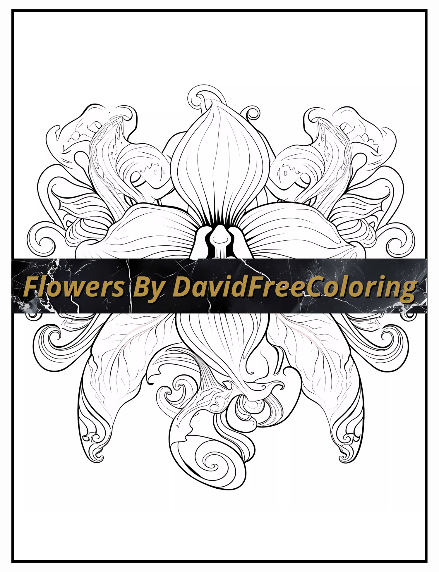 Flowers Coloring Book Blooming Flowers Image for Adult Coloring Pages Flowers printable coloring book gift for adult PDF download PNG