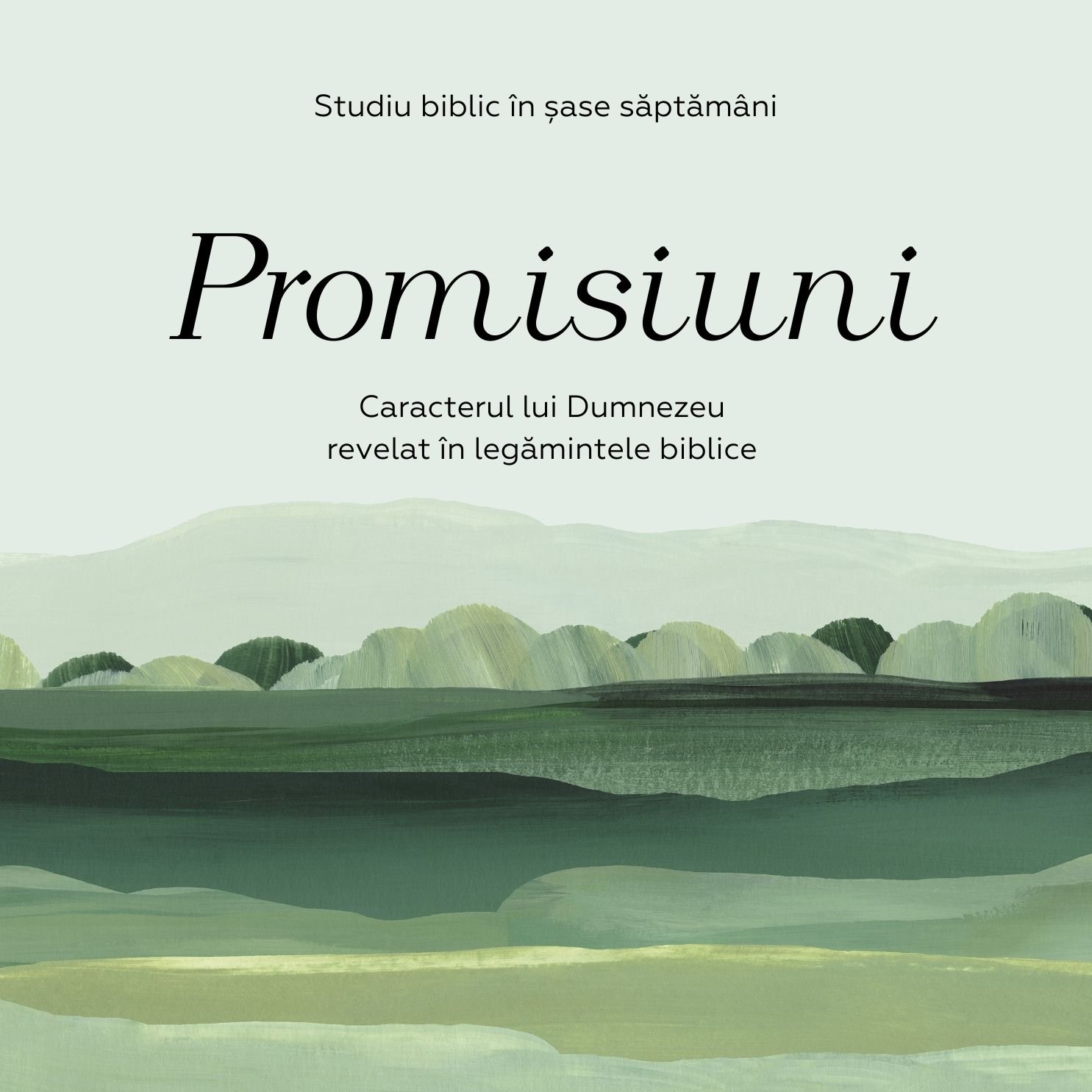 Promisiuni cover