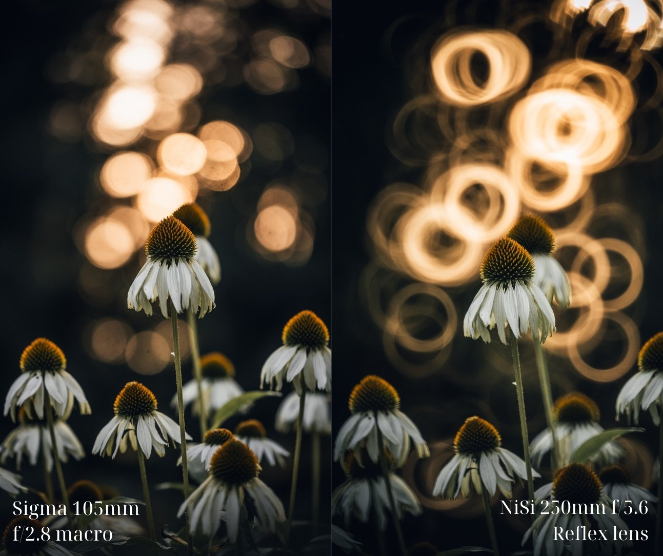 bokeh Comparison picture. Nisi 250mm f/5.6 reflex lens review