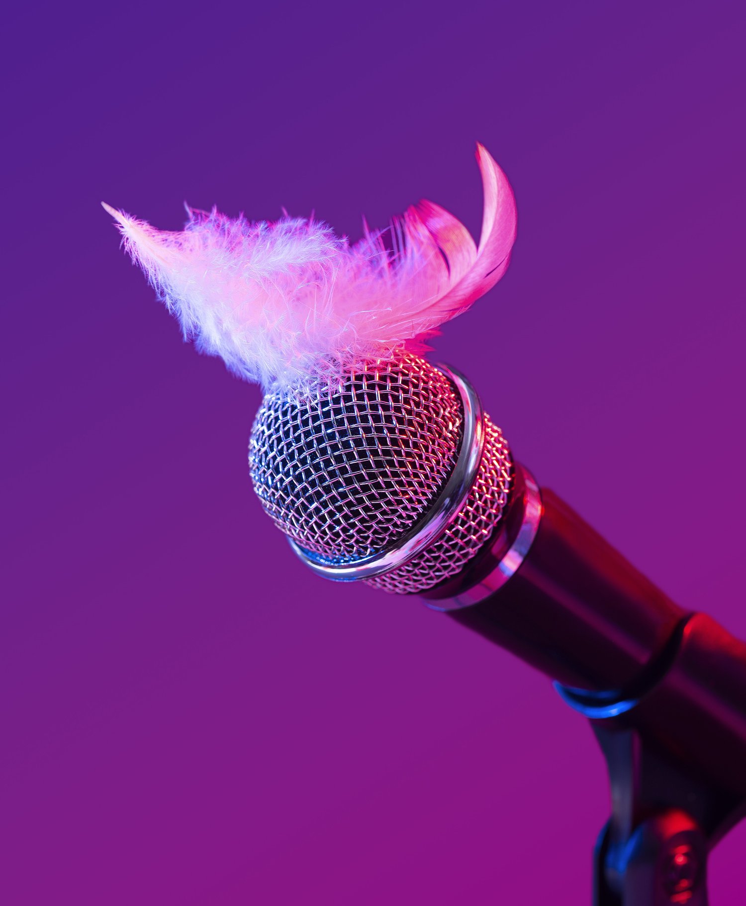 Foto de pluma blanca acariciando un micrófono-fondo morado