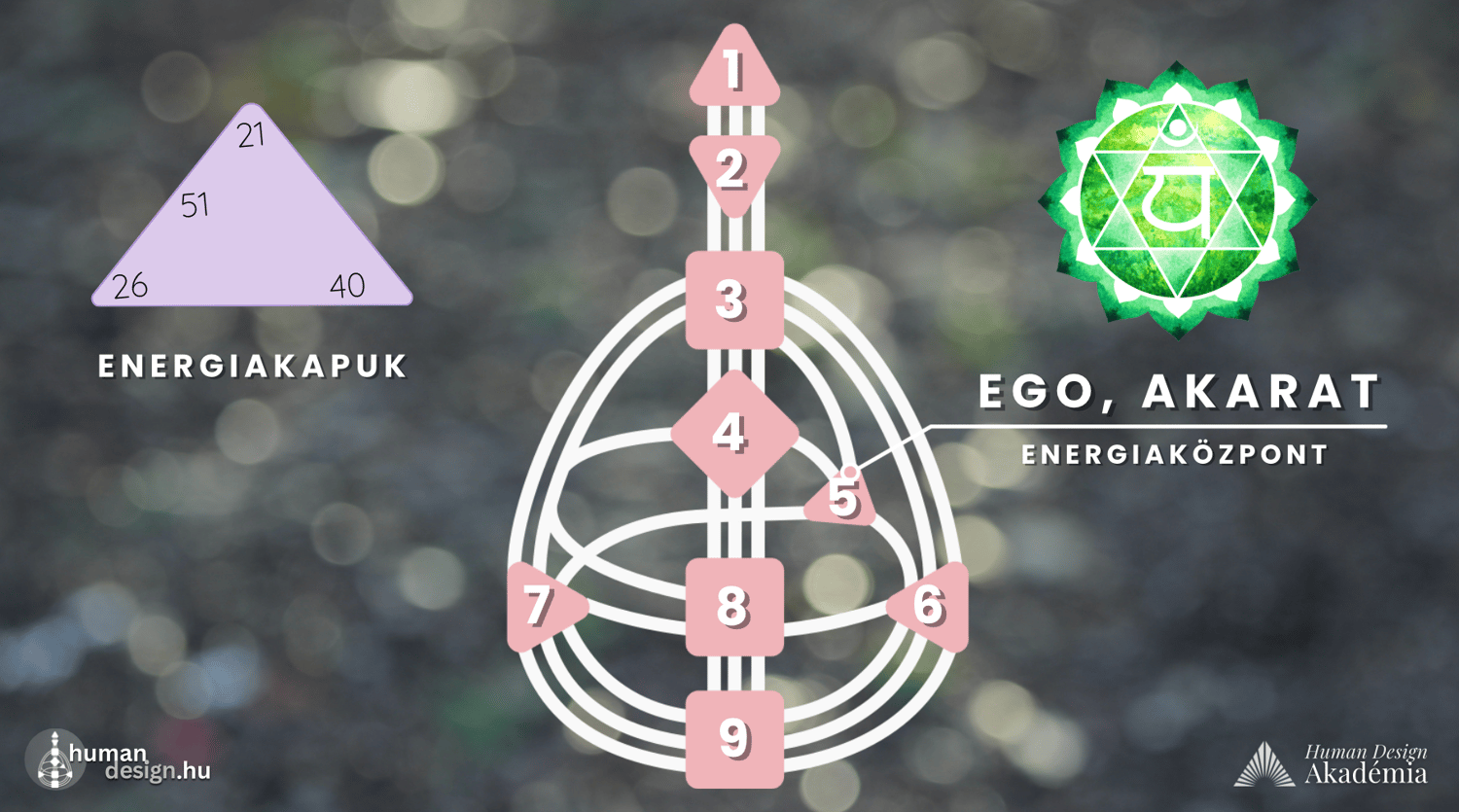 akaraterő energia ego központ human design szívcsakra