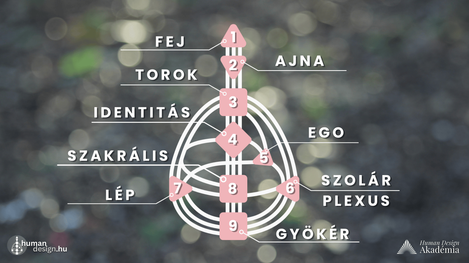 energiaközpontok csakrák human design magyarul