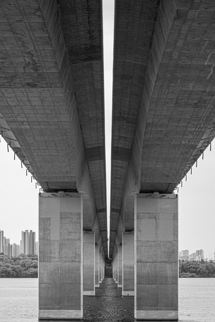 Foto de puente de hormigón en blanco y negro
