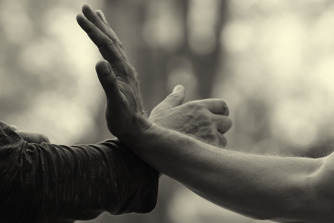 Manos, artes marciales y Qi gong