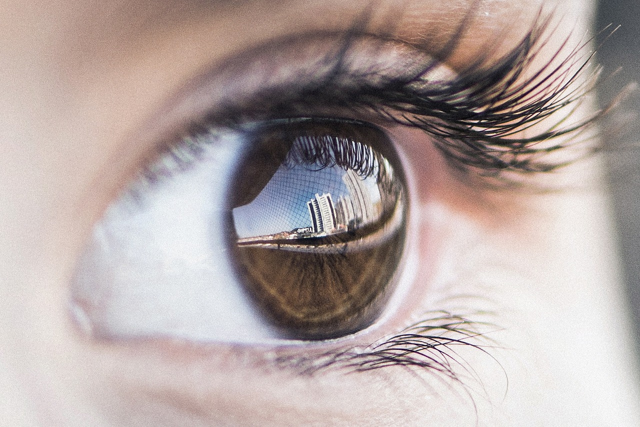 Ojos castaños de chica